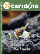 caridina 03/2026