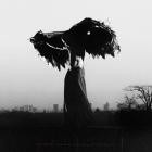 LINTD - Dogtooth  And Other Such Tales of the Macabre