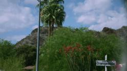 Toxic.S01E02.GERMAN.DL.DOKU.1080p.WEB.h264-HAXE