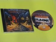 Wings Of Steel - Winds Of Time