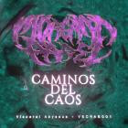 Morgana Parel-Caminos del caos- VSCRAB01 -16BIT-WEB-FLAC-2025-TR