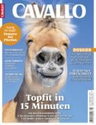 CAVALLO 02/2023