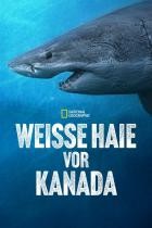 Weisse.Haie.vor.Kanada.2025.GERMAN.DL.DOKU.1080p.WEB.h264-HAXE
