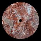 Jonas Xenon - Nailik Ivory