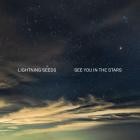 The Lightning Seeds - See You in the Stars