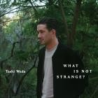 Tashi Wada - What Is Not Strange
