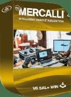 proDAD Mercalli V6 SAL v6.0.629.1 (x64) + Portable