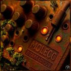 Molecc - Bizarradique