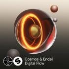 Cosmos  Endel - Digital Flow