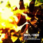 Secluded - Free Your Mind