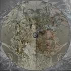 Daniel O - Divine Regret