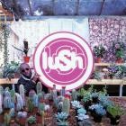 Lush - Lovelife