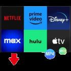 Pazu StreamGet All-In-One Video Downloader v2.9.4