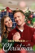 Destined At Christmas - Für Weihnachten bestimmt