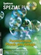 Spektrum Der Wissenschaft SPEZIAL Physik Mathematik Technik 01/2025