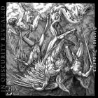 In Obscurity Revealed - Glorious Impurity