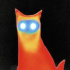 Basement - WIRED Broken By Design