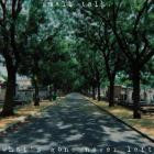 Small Talk -whats gone never left-16BIT-WEB-FLAC-2026-FLACCiD