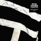 Gum Takes Tooth-Recovered EP  Part Two - SLVMNCR005 -24BIT-WEB-FLAC-2024-BABAS