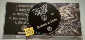 Terminally Your Aborted Ghost-Putrefaction in Parallax- FADE127 -CDEP-FLAC-2026-86D