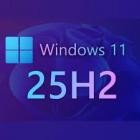 Windows 11 Pro 25H2 Build 26200.7019 (x64)