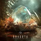 Dragota - Wisdom Of Nature