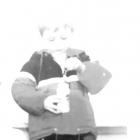 The Domestics - - Generational Loss  