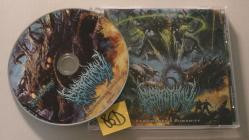 Estrotomy-Carcinogenic Humanity- ISR078-25 -CD-FLAC-2025-86D