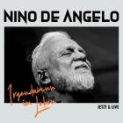 Nino de Angelo - Irgendwann im Leben (Jetzt und Live)