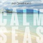 Jake Shimabukuro - - Calm Seas  