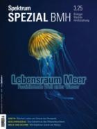 Spektrum Der Wissenschaft SPEZIAL Biologie Medizin Hirnforschung 03/2025