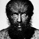 Dario Zenker - Moersin