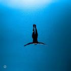 Telescreens - Preacher