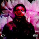 Kail Problems - A Flower Blooms In May 3