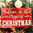 VA - Believe in the Magic of Christmas