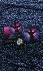 Prince-Timeless-2026-C4