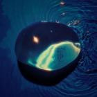 Strange Fruit - Drips (Copy)