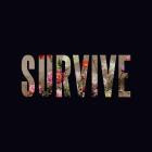 Lewis Capaldi - Survive