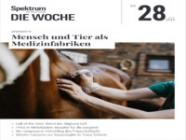 Spektrum Die Woche 28/2025