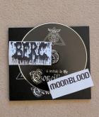 VA - A Tribute to the Concilium