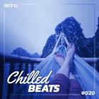 VA - Chilled Beats 020