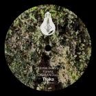 Jonas Xenon - Troika