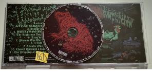 Frog Mallet-Dissection by Amphibian- FADE098 -REISSUE-CD-FLAC-2024-86D