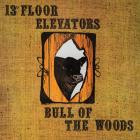 13th Floor Elevators - Bull Of The Woods (QFPS Version)
