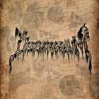 Desencarnatum - Desencarnatum