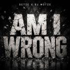Setze & DJ Muetze - Am I Wrong