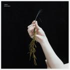 Umwelt - Ecopoesis