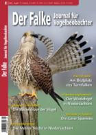 Der Falke - Journal fuer Vogelbeobachter 08/2026