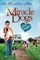 Miracle Dogs