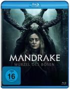 Mandrake - Wurzel des Bösen